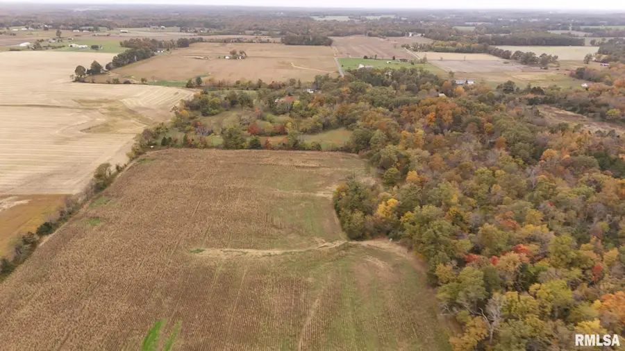 13536 Alleghany Road, Thompsonville, IL 62890 - Image #3