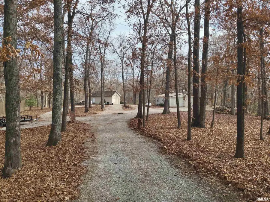 19650 N Pisque Lane, Woodlawn, IL 62898 - Image #3