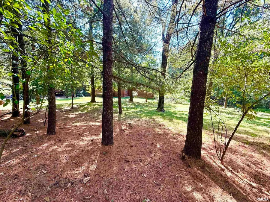 592 Brush Hill Road, Carbondale, IL 62901 - #3