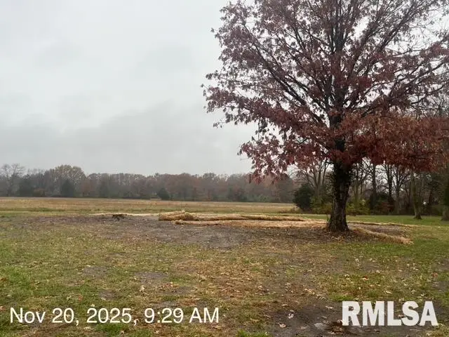 9203 E Park Street Road, Du Quoin No 7, IL 62832 - Image #2