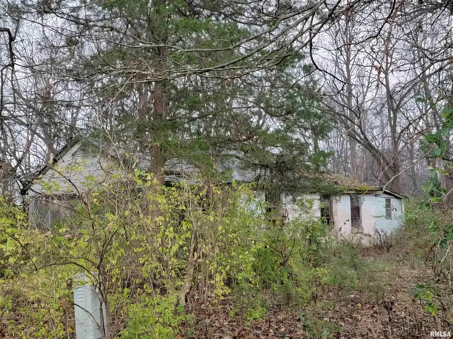 947 E Cole Street, Du Quoin, IL 62832 - Image #3