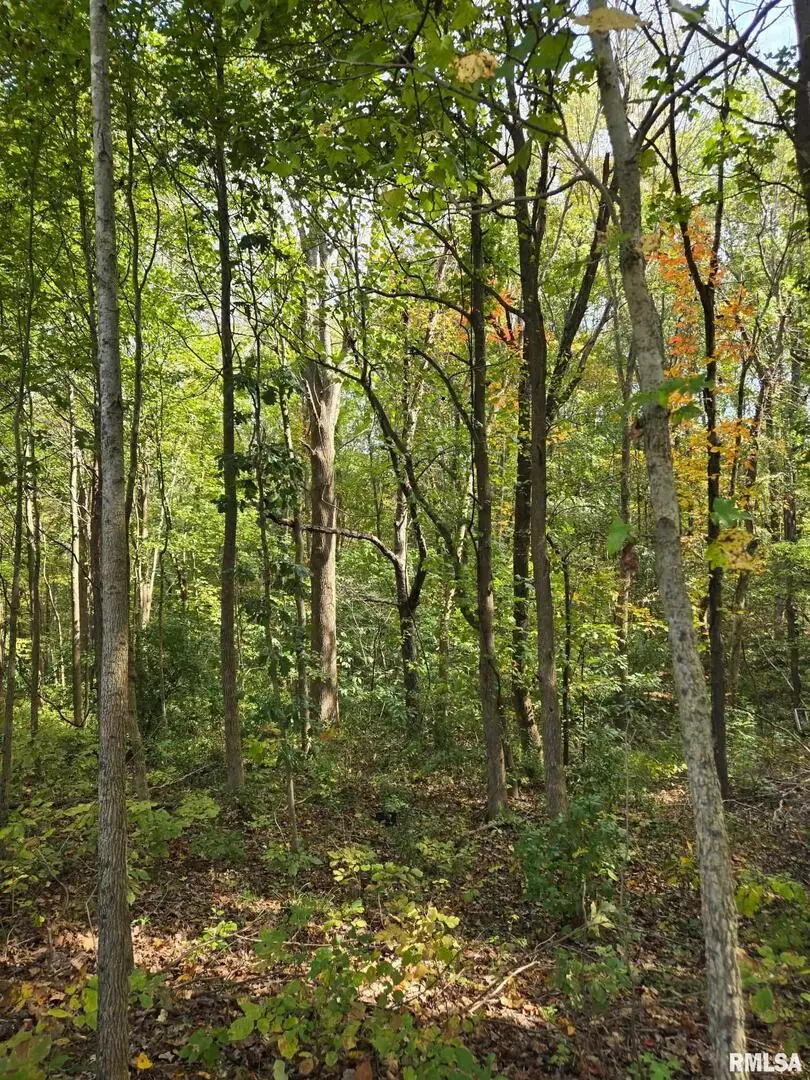 TBD State Highway 145 S Highway, Metropolis, IL 62960 - Image #3