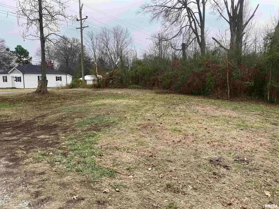 205 N Stuyvesant Street, Benton, IL 62812 - Image #3