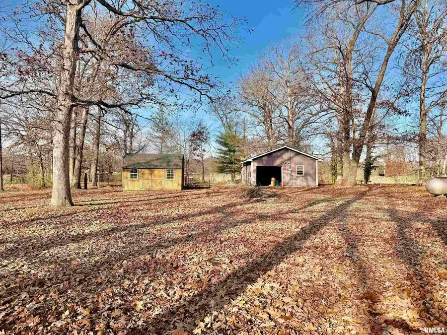 421 County Rd 2400 N Road, Centralia, IL 62801 - Image #2