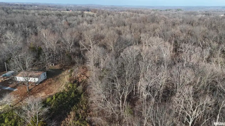 535 Cass Lane, Cobden, IL 62920 - Image #2