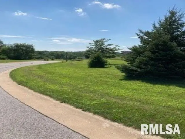 3917 229th Street Circle N, Port Byron, IL 61275 - Image #2