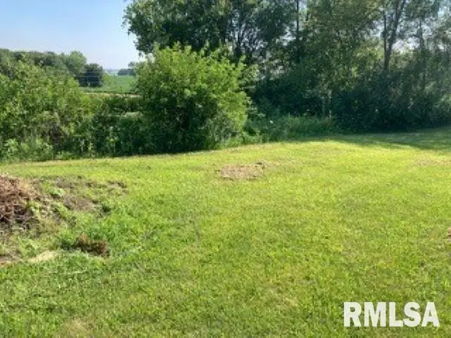 3901 229th Street Circle N, Port Byron, IL 61275 - Image #3