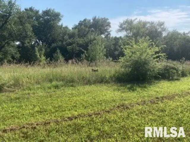 3808 229th Street Circle N, Port Byron, IL 61275 - Image #2