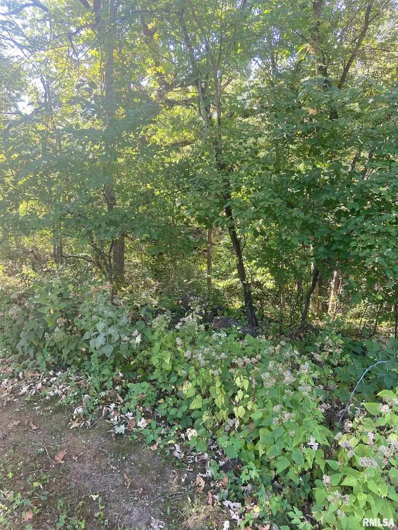 700 N Bluff Boulevard, Clinton, IA 52732 - Image #2