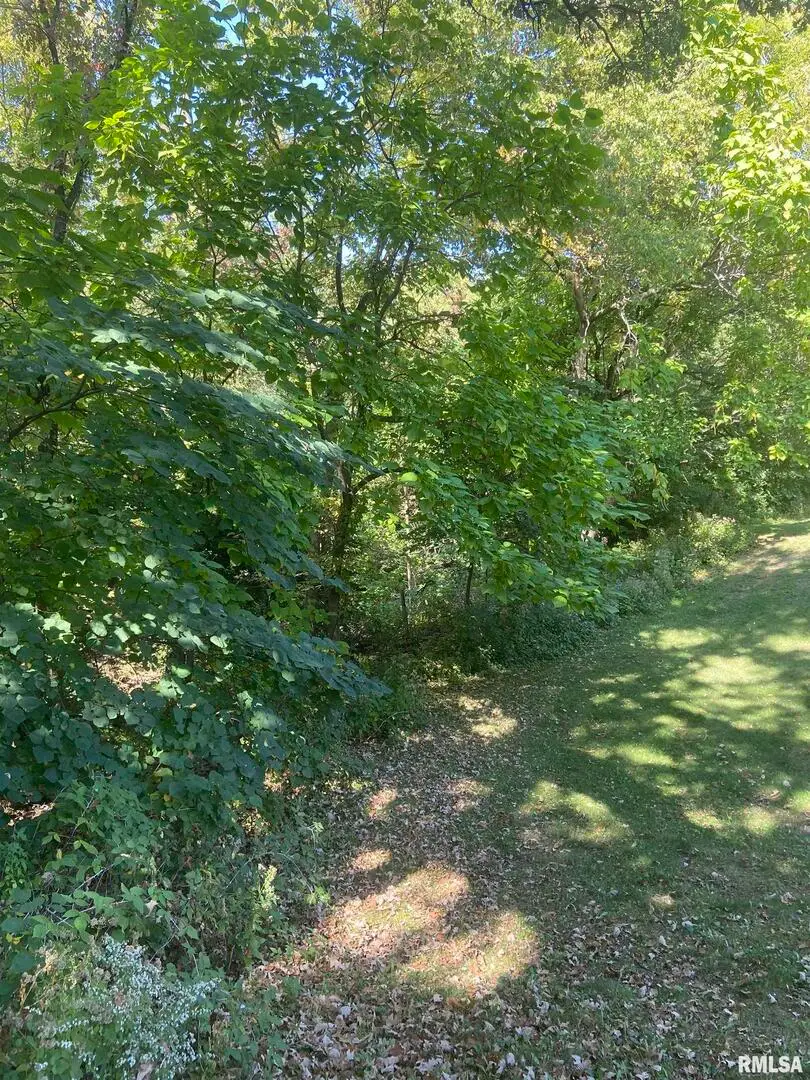 700 N Bluff Boulevard, Clinton, IA 52732 - Image #3