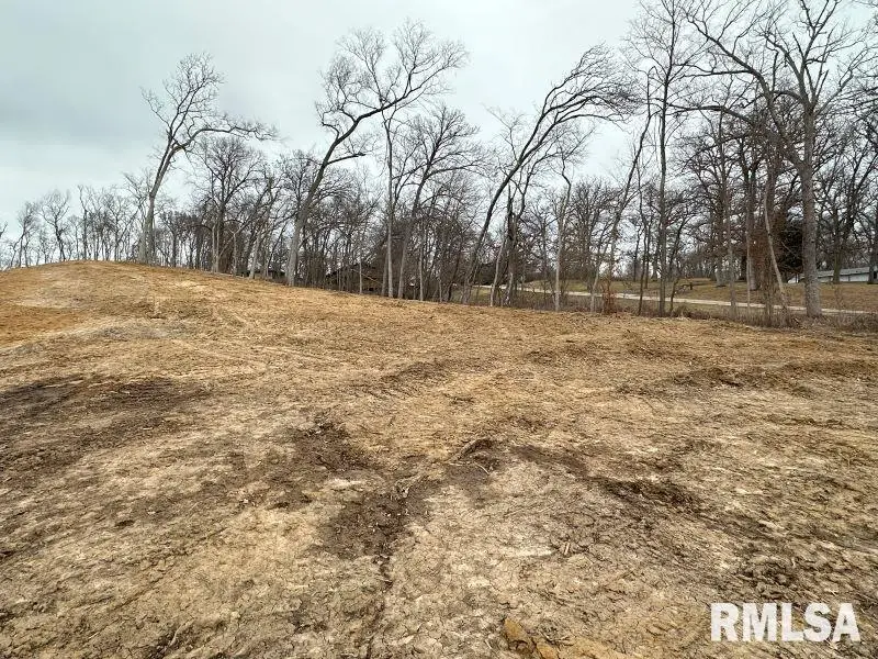 Lot 2 225th Street, De Witt, IA 52742 - Image #3