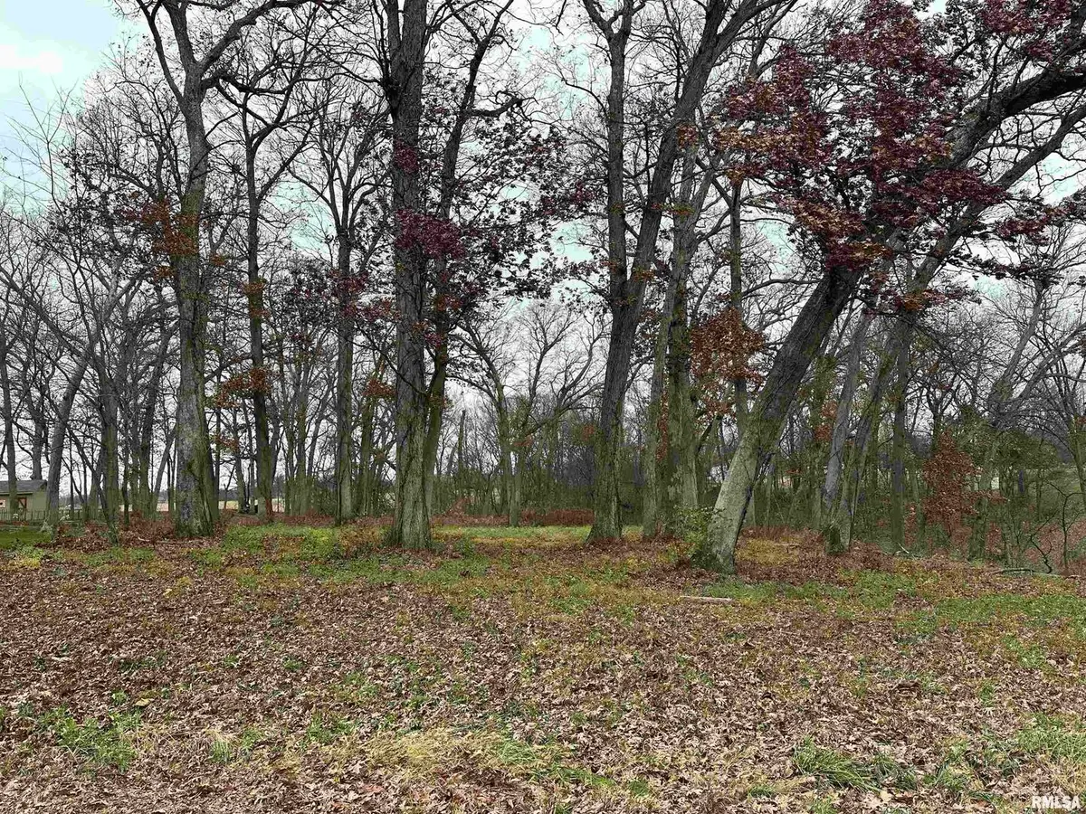 5216 227th Street Court, Port Byron, IL 61275 - Image #1