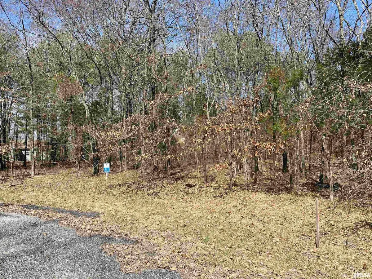 Buckeye Hill Court, Goreville, IL 62939 - Image #1