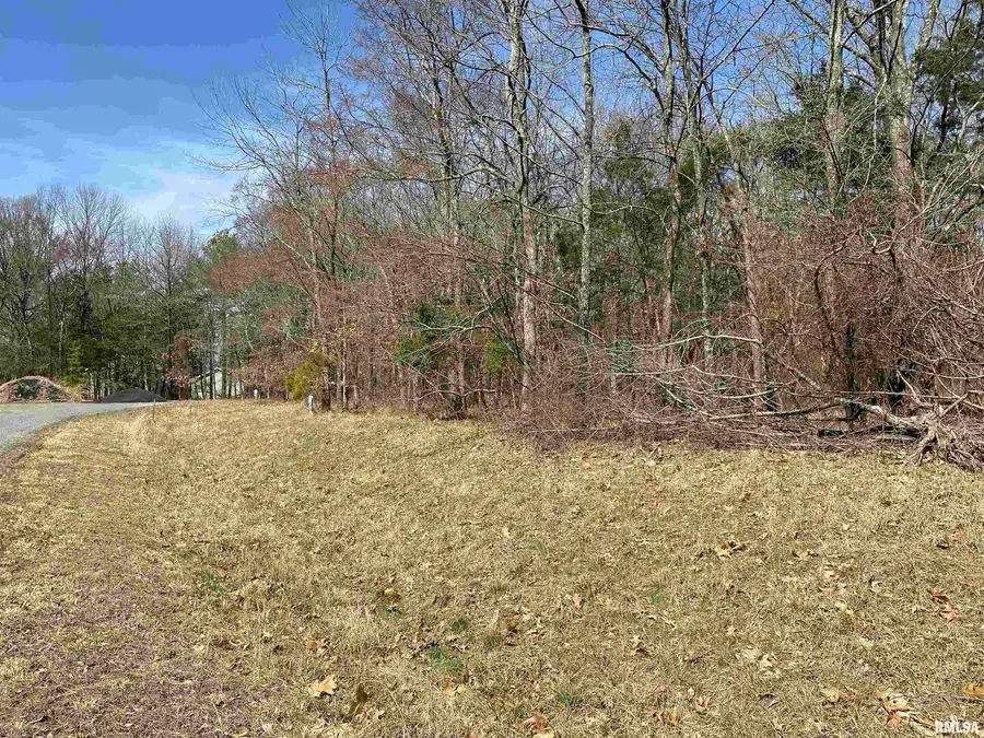 Buckeye Hill Court, Goreville, IL 62939 - Image #2