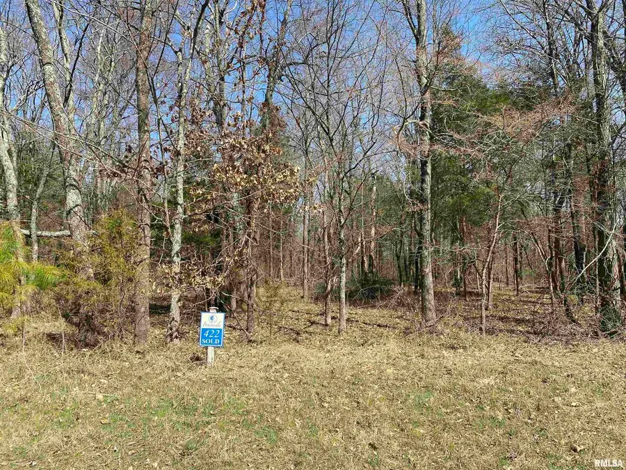 Buckeye Hill Court, Goreville, IL 62939 - Image #3