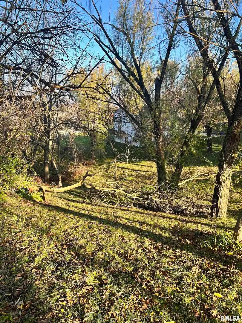 130 Glenview Drive, Sherrard, IL 61281-9300 - Image #2