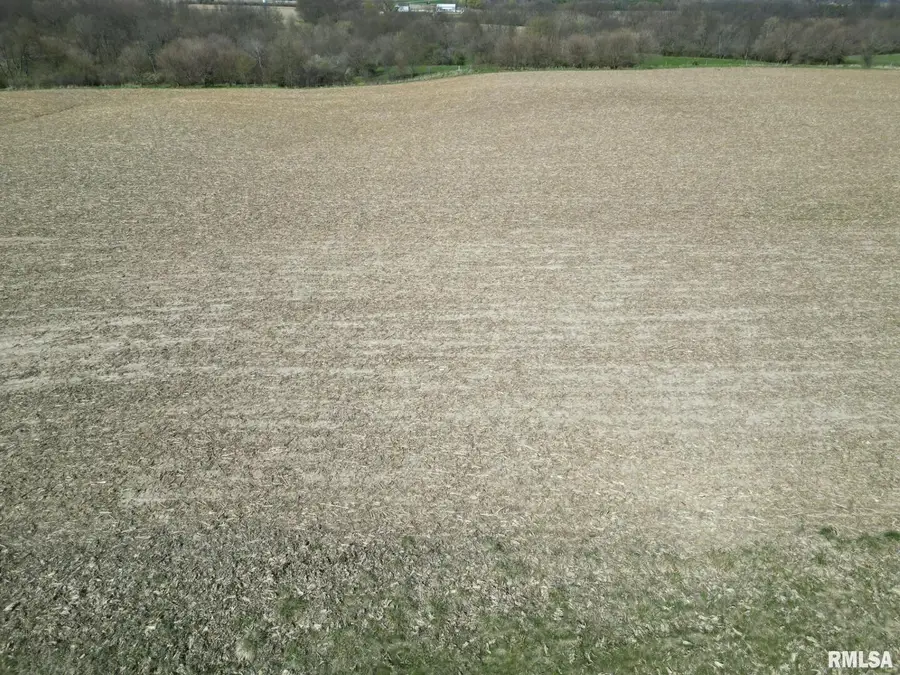 2440 Olof Krans Avenue, Galva, IL 61434 - Image #3