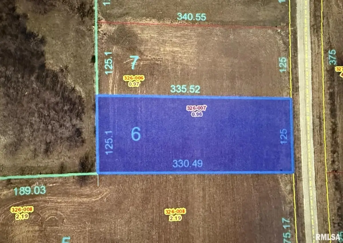 2530 Olof Krans Avenue, Galva, IL 61434 - Image #1