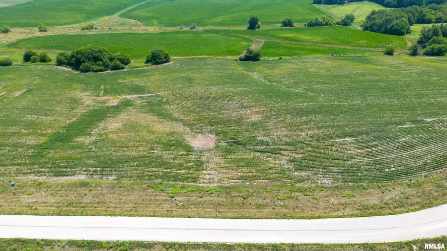 2439 Olof Krans Avenue, Galva, IL 61434 - Image #2