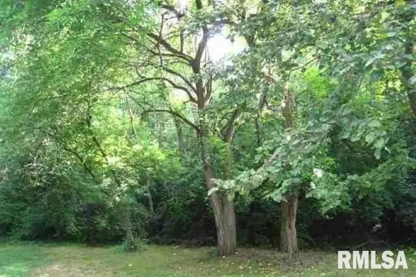 Lot 14 Deer Hill Road, Pleasant Valley, IA 52767 - #1