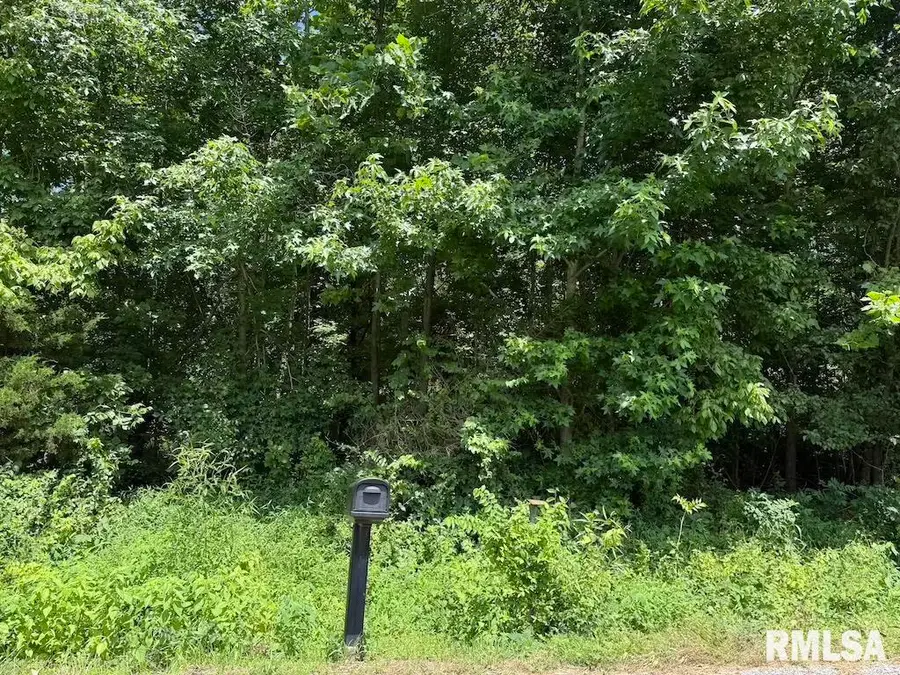 3126 Vermont Road, Carterville, IL 62918 - Image #2