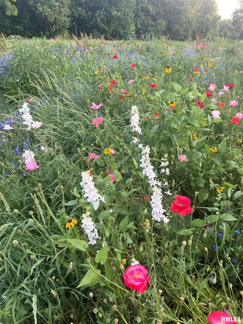 114 Broadway Street, Charlotte, IA 52731 - Image #3