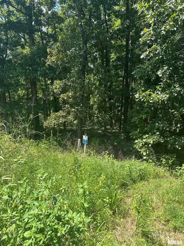 00 Hawthorne Point, Goreville, IL 62939