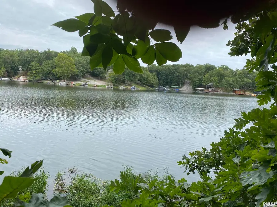 Parrish Ridge Lane, Goreville, IL 62939 - Image #3