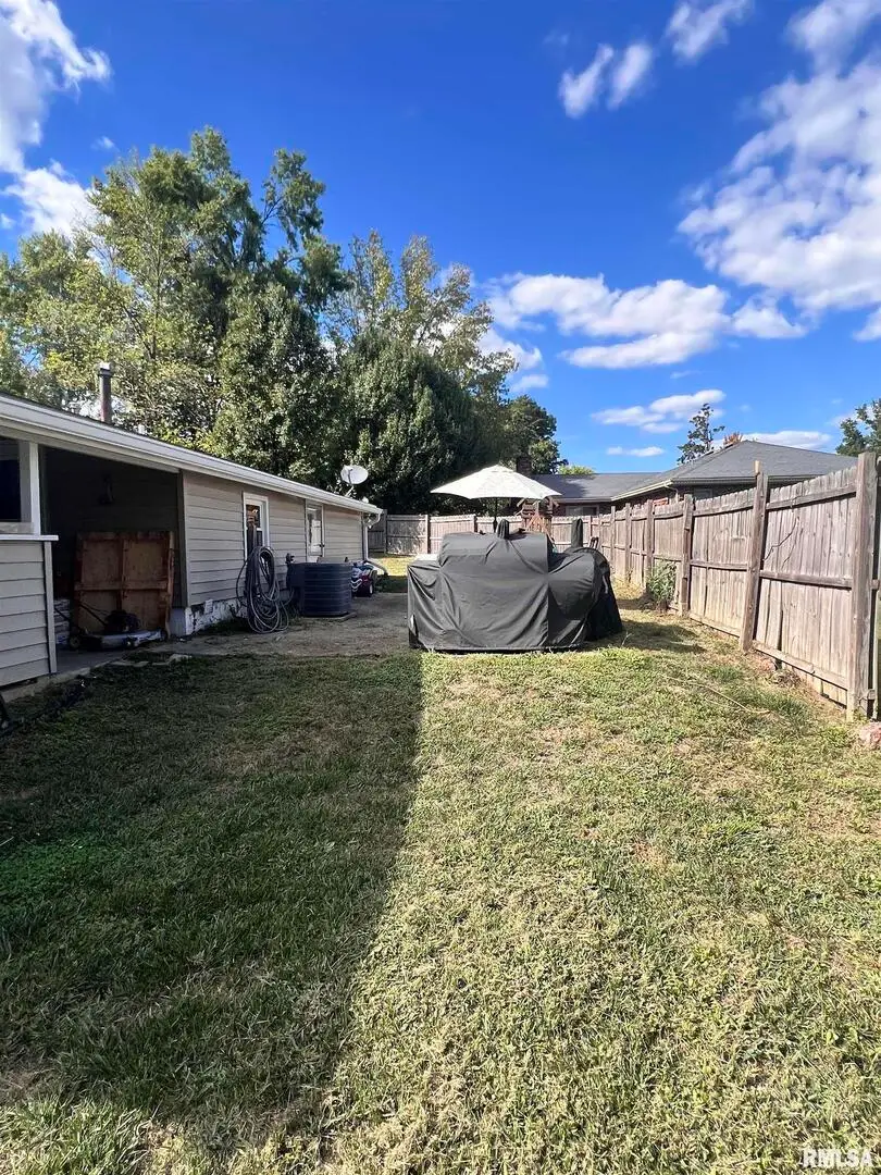 203 Plum Street, Anna, IL 62906 - Image #3