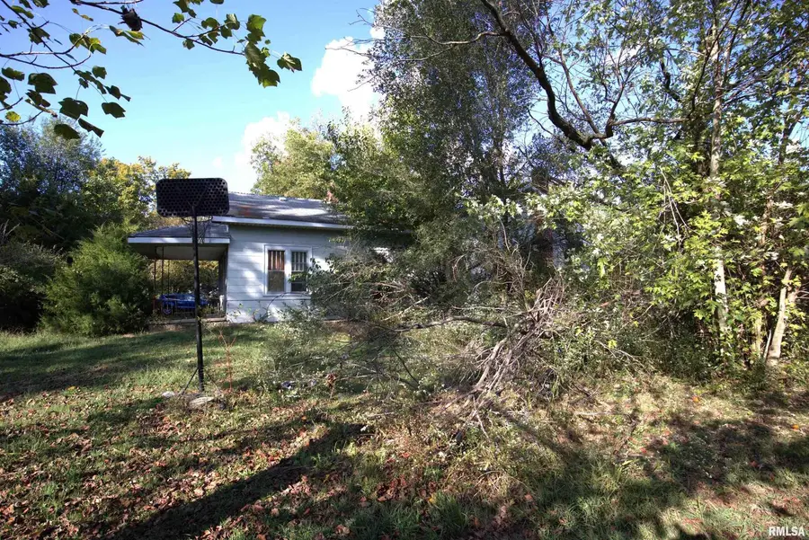 106 S 1st Street, Elkville, IL 62932 - Image #2