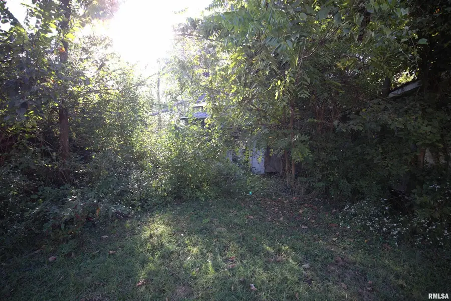 106 S 1st Street, Elkville, IL 62932 - Image #3