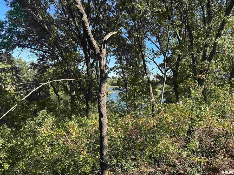 lot 5 Par Lane, Sherrard, IL 61281 - Image #3