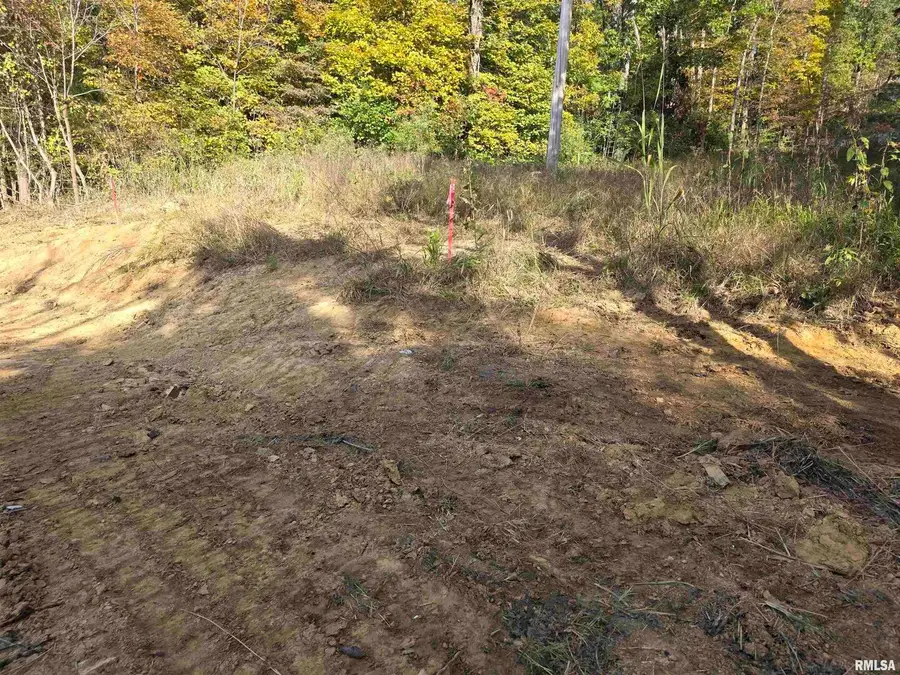 255 Yellow Springs Road, Elizabethtown, IL 62931 - Image #3