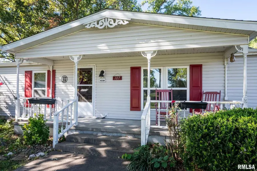 107 George Street, Hurst, IL 62949 - #3