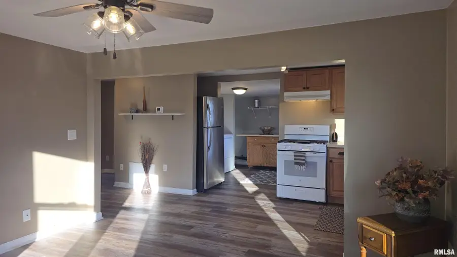 1006 8th Street, Colona, IL 61241 - #3