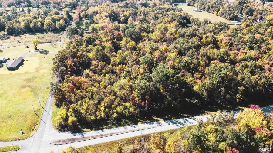 TBD B Route 13 Highway, Crainville, IL 62918 - Image #3