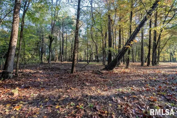 0000 Baptist Camp Road, Carterville, IL 62918