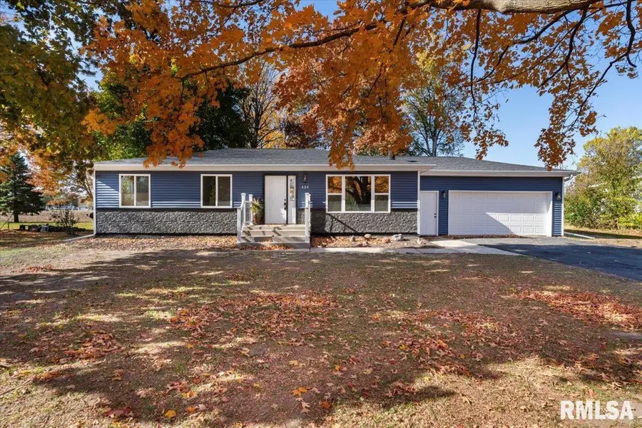 424 Docia Street, Hillsdale, IL 61257 - Image #2
