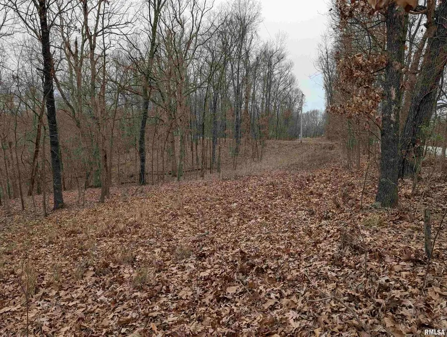 2643 Dogwood Road, Carbondale, IL 62902 - Image #2