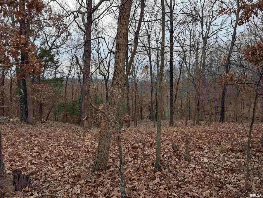 2643 Dogwood Road, Carbondale, IL 62902 - Image #3