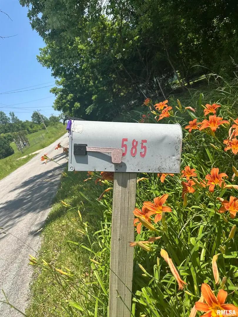 585 Berryville Road, Jonesboro, IL 62952 - Image #2