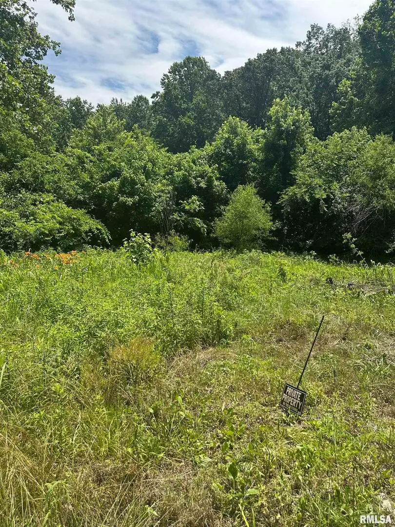 585 Berryville Road, Jonesboro, IL 62952 - Image #3