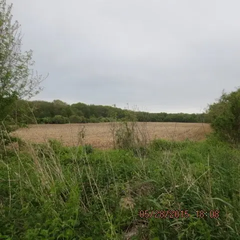 978 Sodom Rd, Westport, MA 02790 - #3