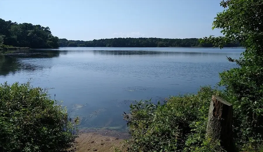 64 Smith St, West Harwich, MA 02671 - #3
