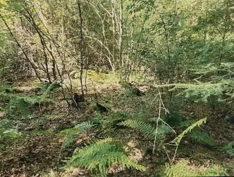 #3