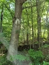 #3