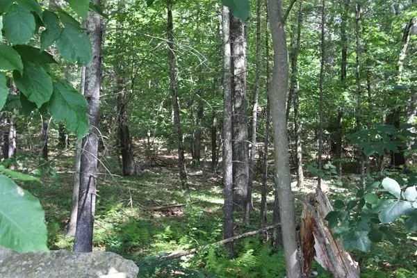 #3