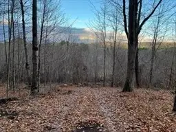 #3