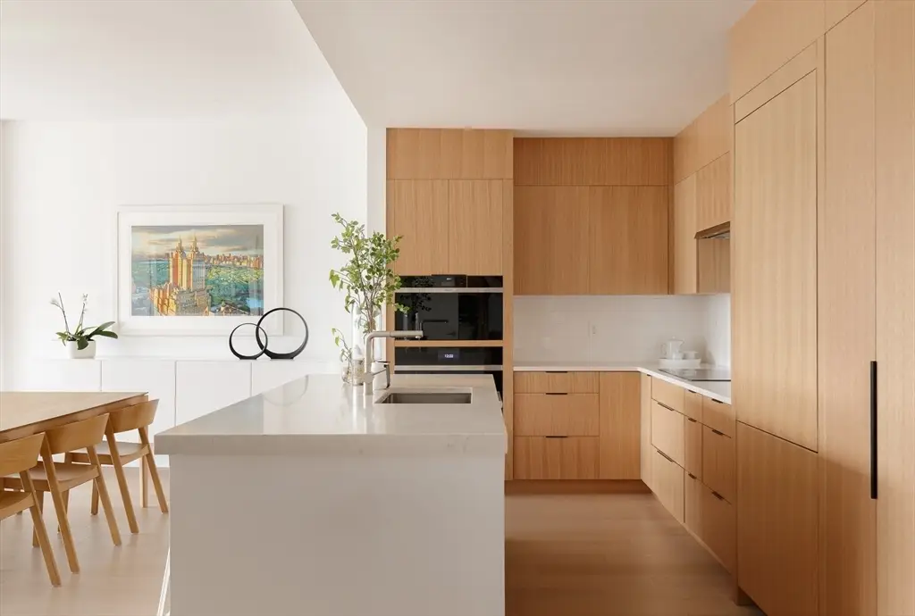 303 Columbus Ave #501, Boston, MA 02116 - #1