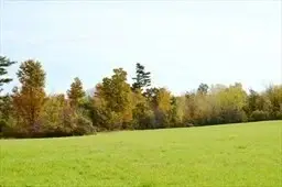 #3